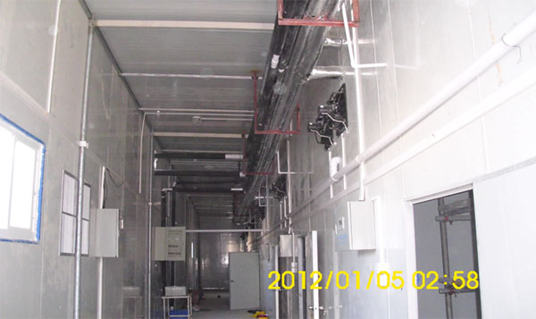 1537341015645231.jpg 食用菌4.jpg