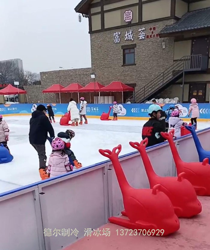 南京溧水冰場,德爾制冷建設(shè)